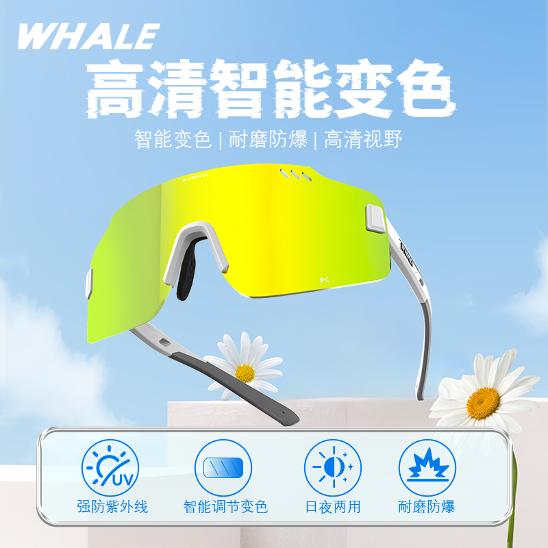 鲸鱼RS8变色日夜两用骑行眼镜