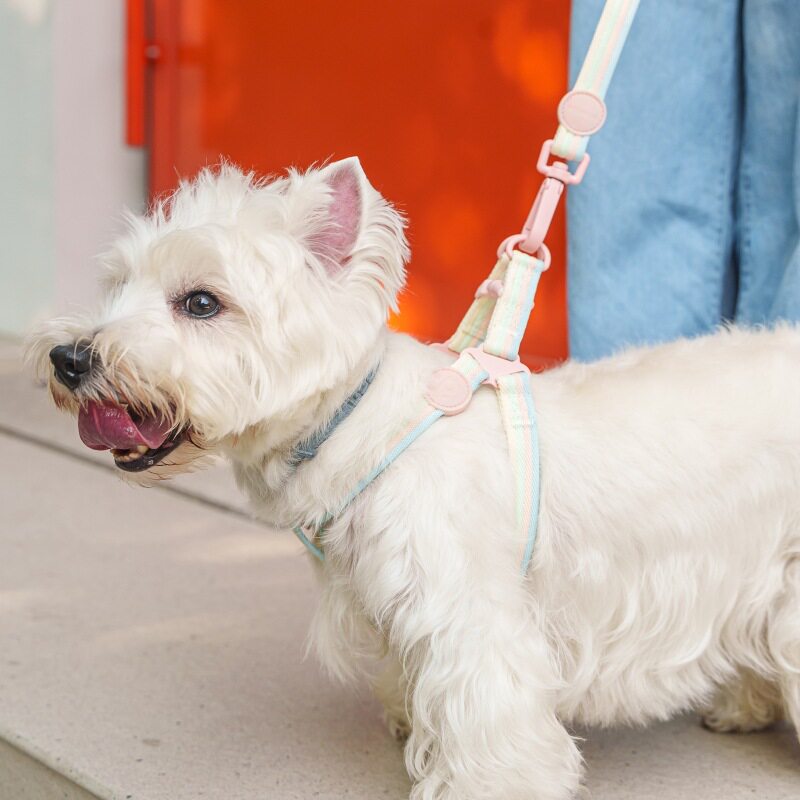 PETSVI狗狗牵引绳拼色下