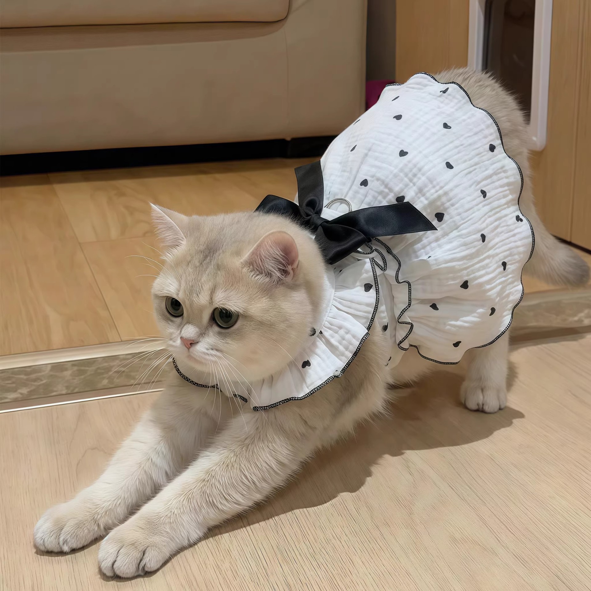 宠物连衣裙子用品衣服春