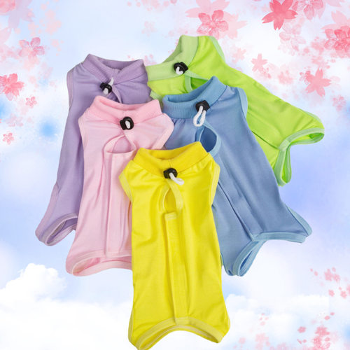 宠物猫咪绝育服术后服母