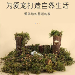 仓鼠树洞玩具金丝熊宠物