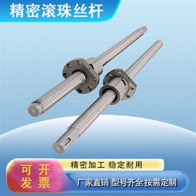精密滚珠丝杆螺母SFU 1204 1605 2510 3210 直线升降滑台丝杠全套
