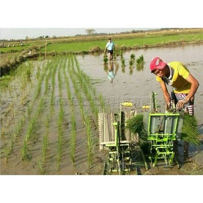 农用小型家用手摇式插秧机 农田水稻种植机 颗粒种子秧苗耕种设备