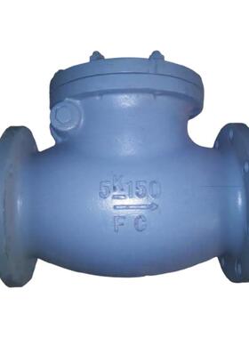 船用F7373 2日标JIS 5k 10K 直通铸铁摇摆 旋启式止回阀