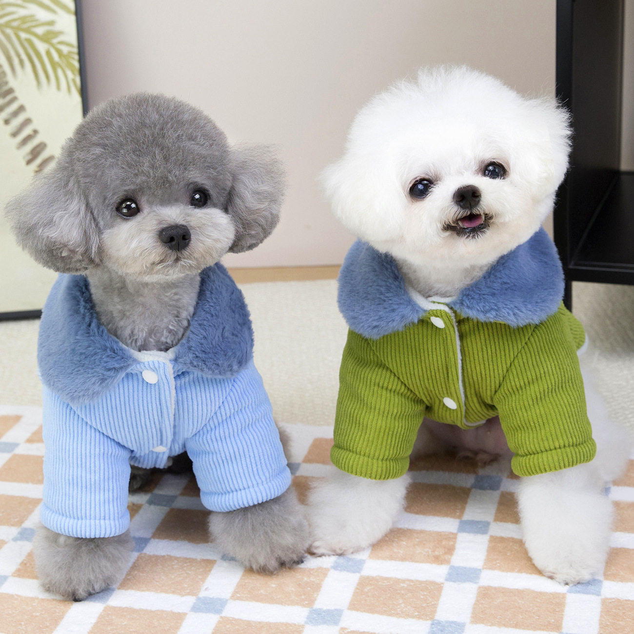 宠物狗狗衣服秋冬装泰迪比熊宠物衣服冬季可挂牵引加厚灯芯绒棉衣