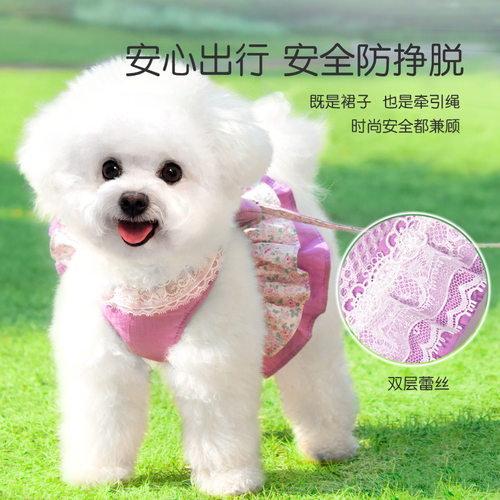 猫咪牵引绳防挣脱专用猫绳小型犬胸背带绳子溜猫绳宠物牵狗绳遛狗