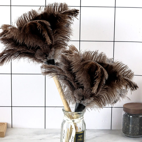 鸡毛掸子家用不掉毛除尘扫灰静电除尘柔软鸵鸟毛禅子车用羽毛掸子