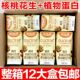 植物梦工场 高钙核桃花生奶 200ml 12瓶 新鲜日期