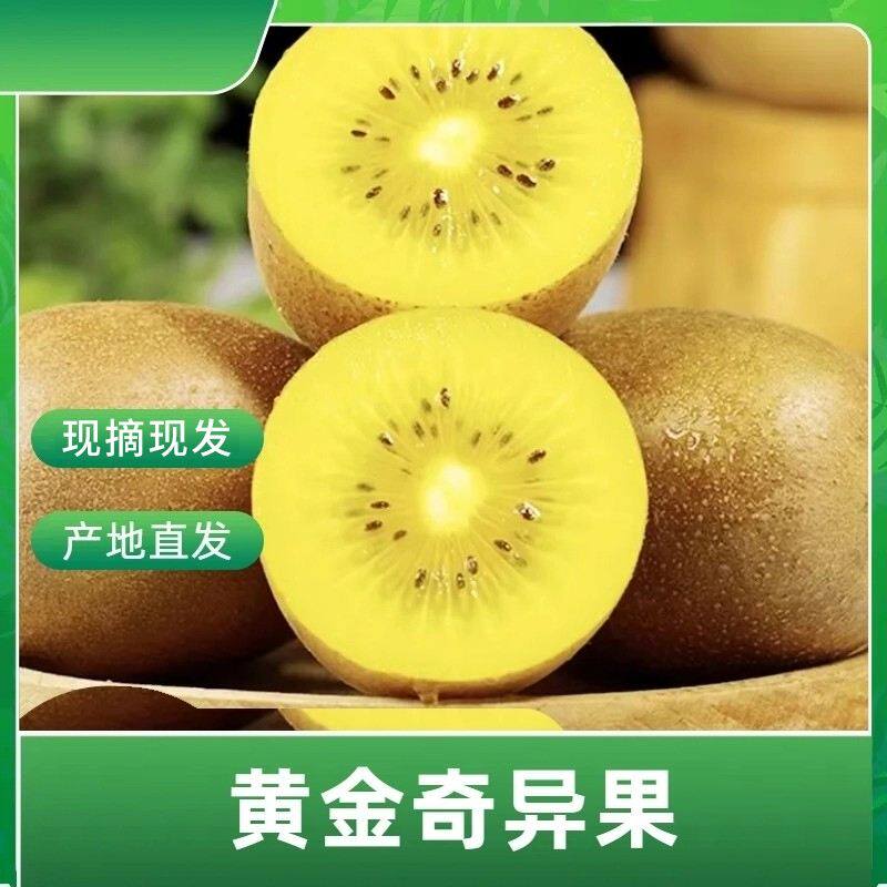 米栗粥陕西黄金奇异果特大果清甜多汁黄心猕猴桃现摘现发孕妇水果