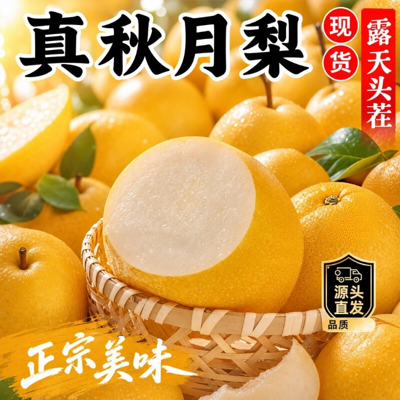 正宗秋月梨新鲜水果应季当季新鲜整箱包邮斤冰糖梨子整箱脆甜现摘
