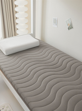 2026新款A类水洗棉加厚床垫学生宿舍寝室垫地铺睡垫90*190-学生款