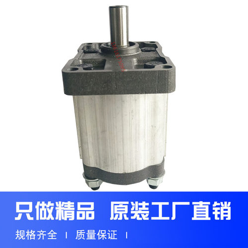 齿轮泵 液压油泵CBN-F310 F314 F306 F320 F325 F316 F325 TRYY