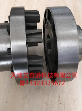 FLENDER N-EUPEX Size140-160-180-200-225-250-280-315联连轴器