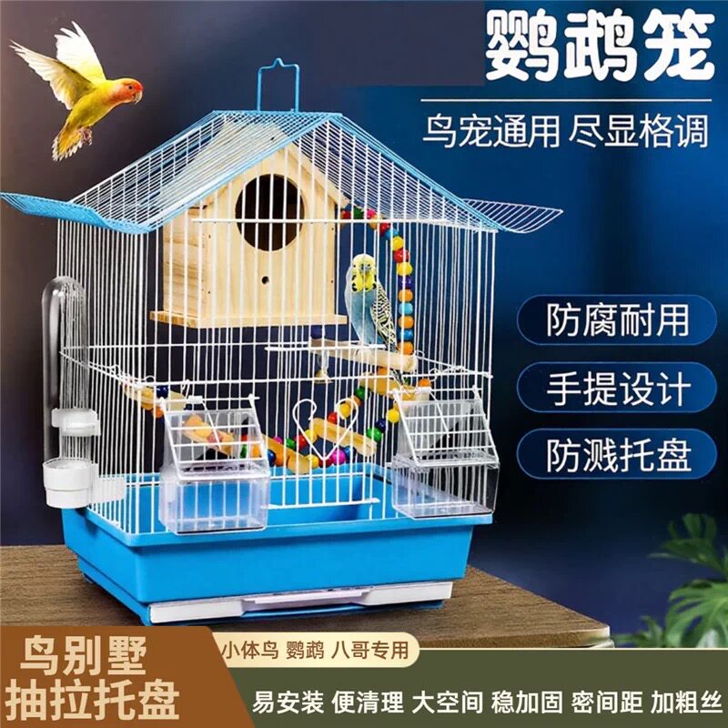 优质手养鹦鹉虎皮文鸟八哥专用