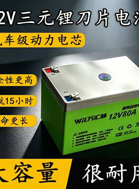 电动喷雾器锂电池12V大容
