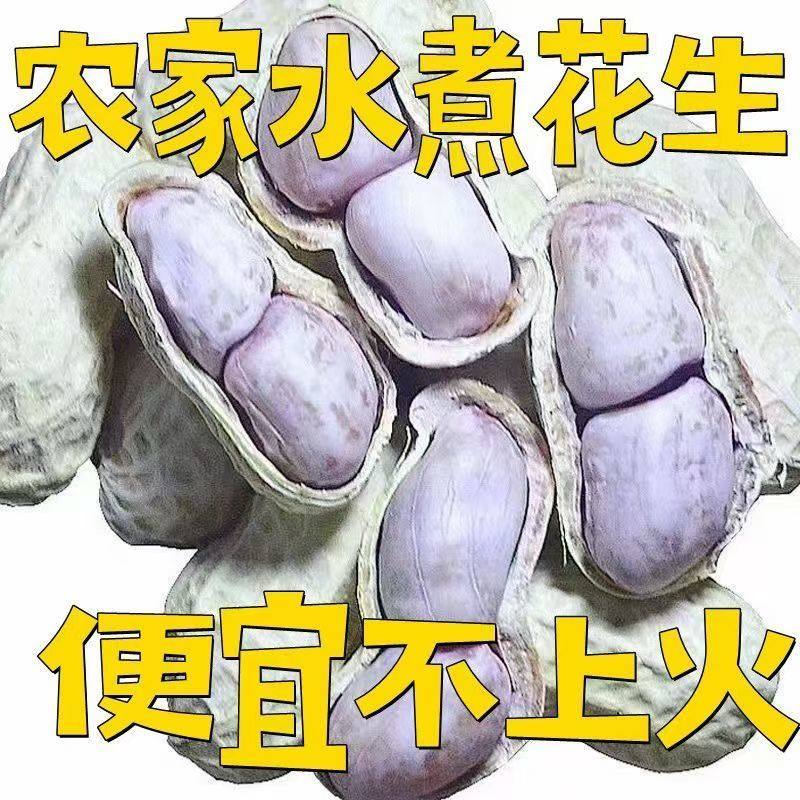 原味水煮花生水煮晒干带壳白晒花生盐水咸干花生有嚼劲熟咸味