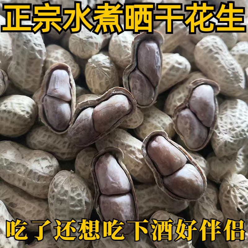 26年新龙岩花生蒜香咸干五香盐水白晒湿烤水煮带壳炒货零食熟批发