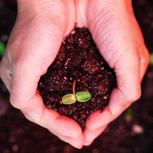 家居盆栽植物通用肥料 蔬菜肥料 花卉种植通用型椰砖喷壶园艺用品,鲜花速递/花卉仿真/绿植园艺,介质/营养土,淘宝优惠券,粉丝福利购,淘宝优惠卷