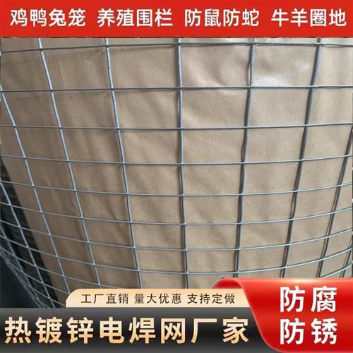 镀锌钢丝网防锈铁丝网鸡鸭养殖网放鼠网阳台防护圈地隔离网玉米网