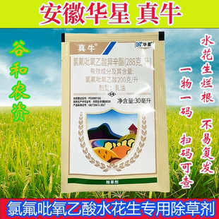 华星真牛氯氟吡氧乙酸异辛酯猪殃秧尽水花生净空心莲子草药除草剂