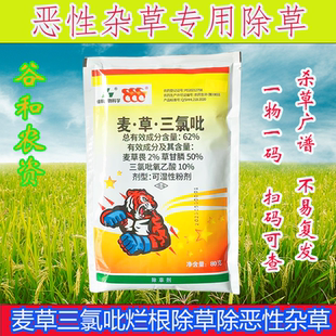 62%麦草畏草甘膦三氯吡氧乙酸大草老草抗性杂草烂根除草剂农用