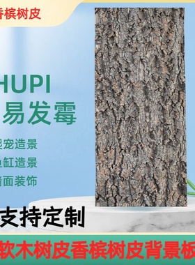 天然真树皮香槟软木树皮爬宠鱼缸装饰造景植物墙背景装饰墙面树皮
