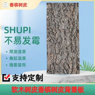 天然真树皮香槟软木树皮爬宠鱼缸装 饰墙面树皮 饰造景植物墙背景装