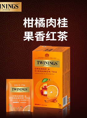 TWININGS川宁茶包柑橘肉桂果香红茶ChaiTea热红酒风味香料袋泡茶