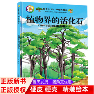 植物家族 儿童科普少儿绘本 植物界 彩绘珍藏版 精装 植物书籍大全 丰富多彩 植物百科全书彩图版 活化石 植物 探究之旅神奇