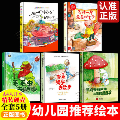 A4纸张大小精装硬壳绘本图书幼