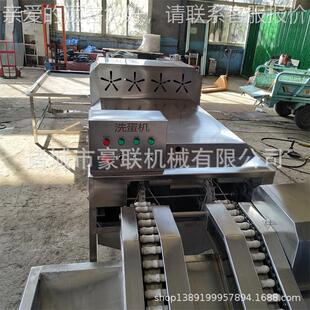 自动洗蛋 可全选配整机套洗蛋机流清水 高效洗鸡蛋泥蛋粪便YUL蛋