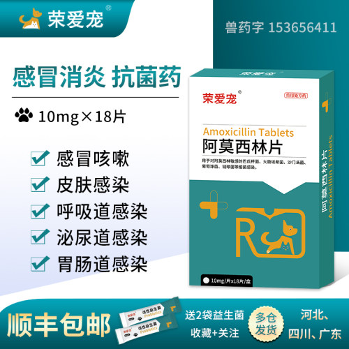荣爱宠顺丰包邮猫鼻支感冒流鼻涕