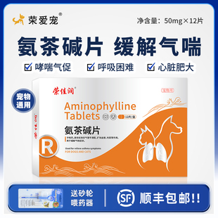 氨茶碱片宠物猫咪狗狗兽用窝咳心脏肥大咳嗽喘气哮喘药支气管炎