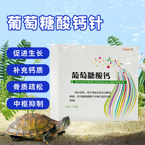 葡萄糖酸钙乌龟水龟爬宠软甲软壳体质差缺钙补钙液体钙补营养体能