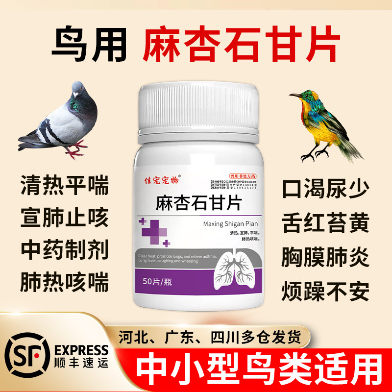 鸟禽玄凤虎皮鹦鹉鸽子专用麻杏石甘片宣肺呼吸道病止咳嗽平喘气喘