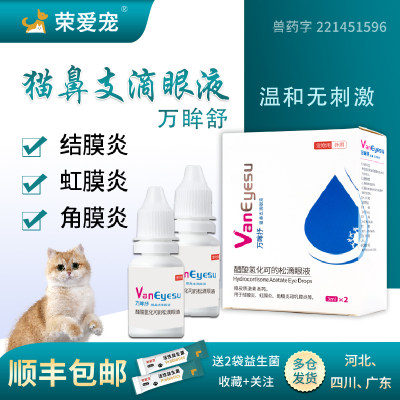 猫鼻支滴眼液顺丰发货抗菌消炎