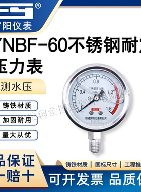 富阳压力表YNBF-60不锈钢壳耐震压力表表面0-1.6MPA水气压表仪表