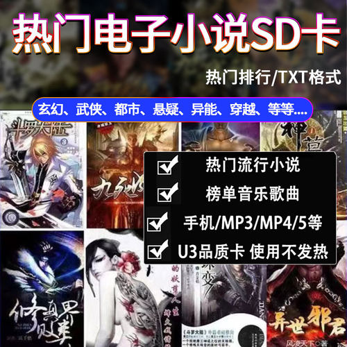小说储存卡32g电子书内存歌曲卡