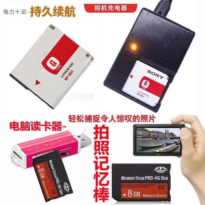 适用 索尼DSC-W270 W290 W300 WX1 T20相机电池+充电器+8G内存卡