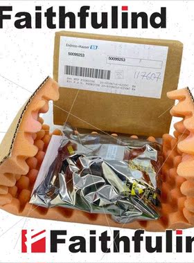 议价E+H 50099253 恩德斯豪斯电源模块 Endress Hauser Prosonic