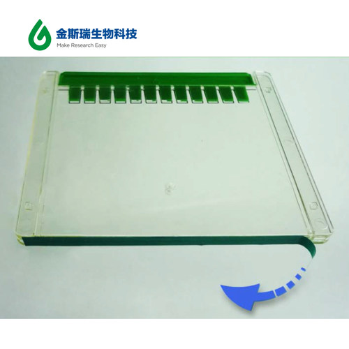 金斯瑞 预制胶配套 电泳液(Running Buffer) WB转印液