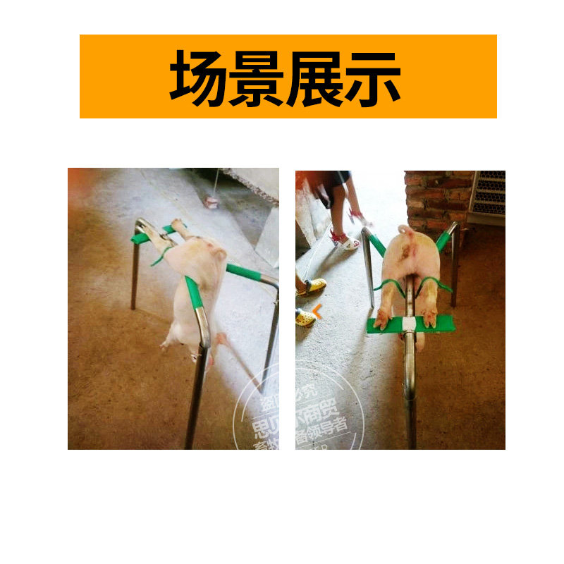 阉猪器阉割架仔猪腌小猪用场养猪用设备用品工具阉割器仔猪阉猪架
