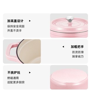 精选莱德斯 珐琅锅铸铁锅家用焖煮锅炖盅汤锅砂锅不粘锅电磁炉燃