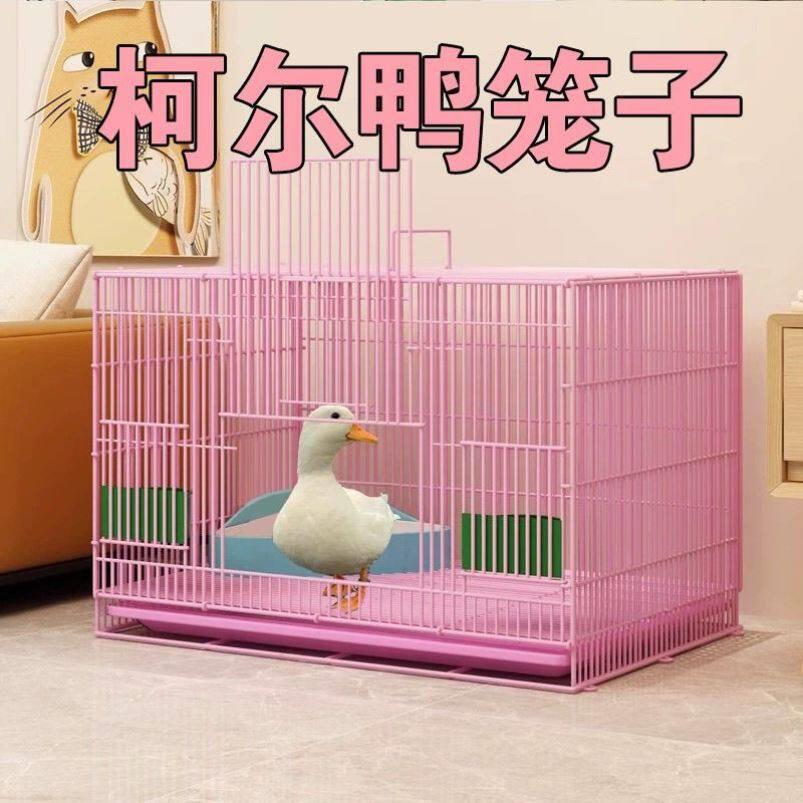 柯尔鸭特大号小黄鸭笼子小鸡大鹅笼自动清粪仓小宠物窝屋室内家用