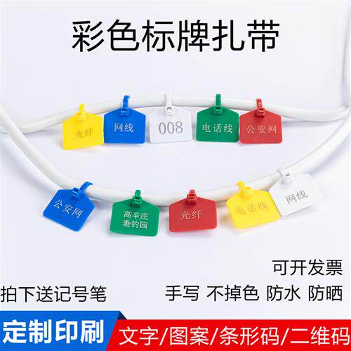尼龙塑胶扎带标签电缆吊牌束线带 一次塑料标签 黑色白色多色可选