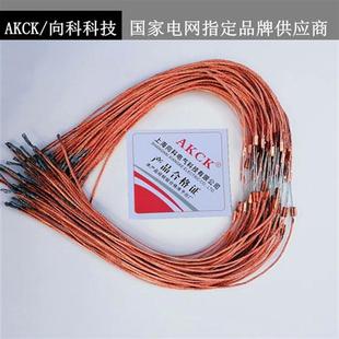 200A20A5A80A无扣熔丝一包 熔断器保险丝1A 10KV高压RW7 RW3跌落式