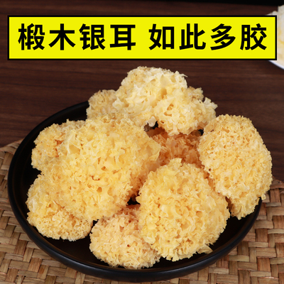 椴木小银耳干货小银耳易煮易软糯易出胶银耳羹易煮出胶精选