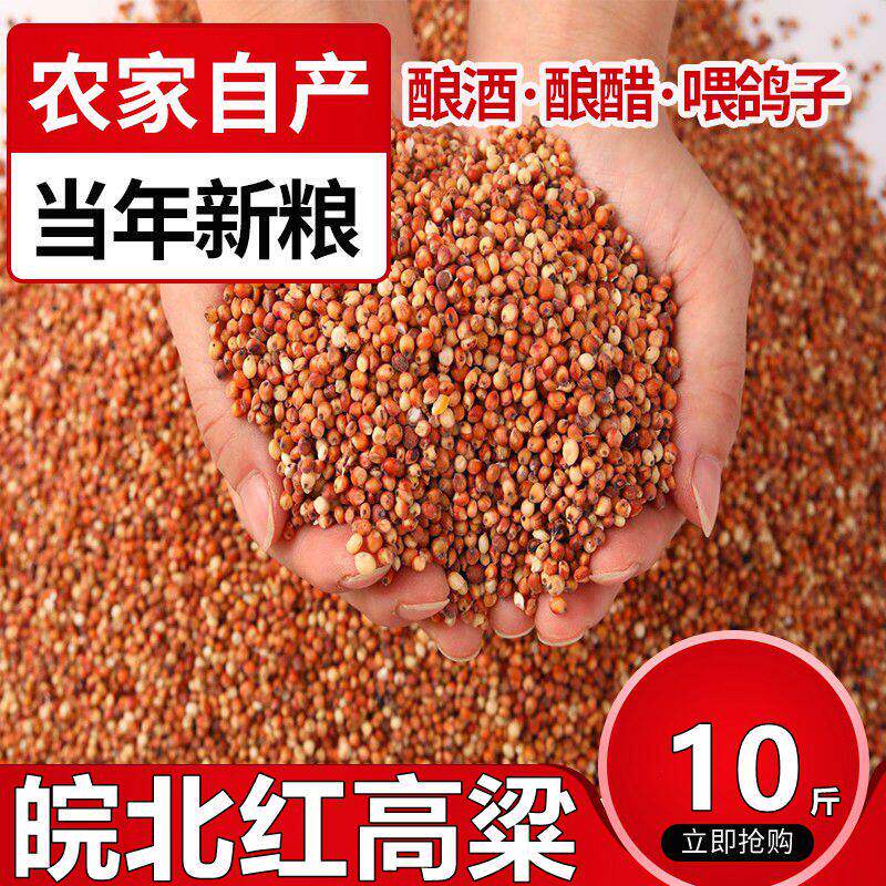 当季带皮红高粱米去壳未