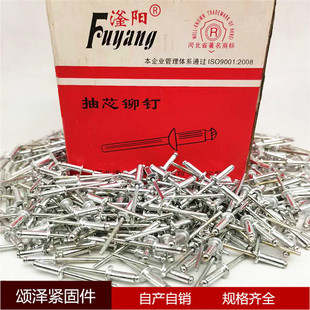 抽芯铆钉装 工厂拉铆钉 潢铆钉开口型铝制抽芯铆钉合金铆钉