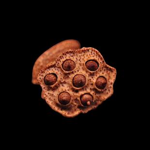 竹雕莲蓬手把件挂件配件配饰镂空实心竹茶宠纯手工天然玉竹老竹根